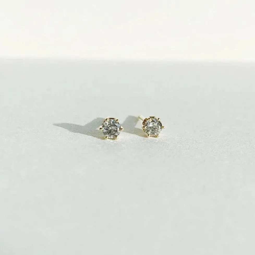 6 Prong Grey Diamond Studs