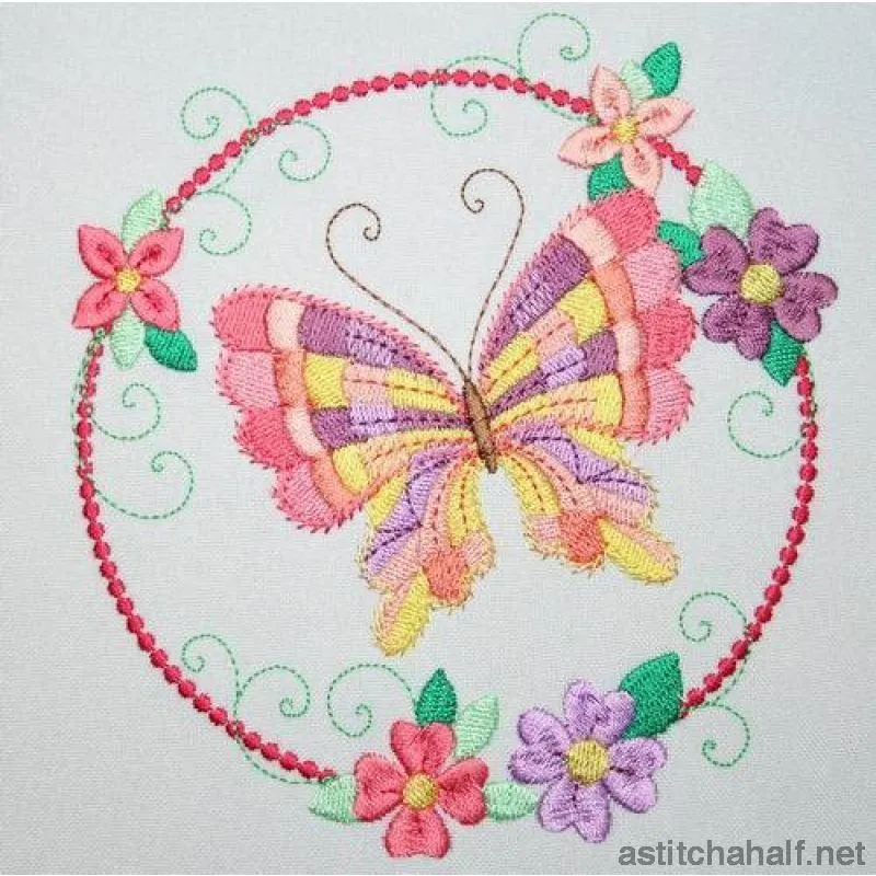 Hula Hoop Butterfly Combo 2