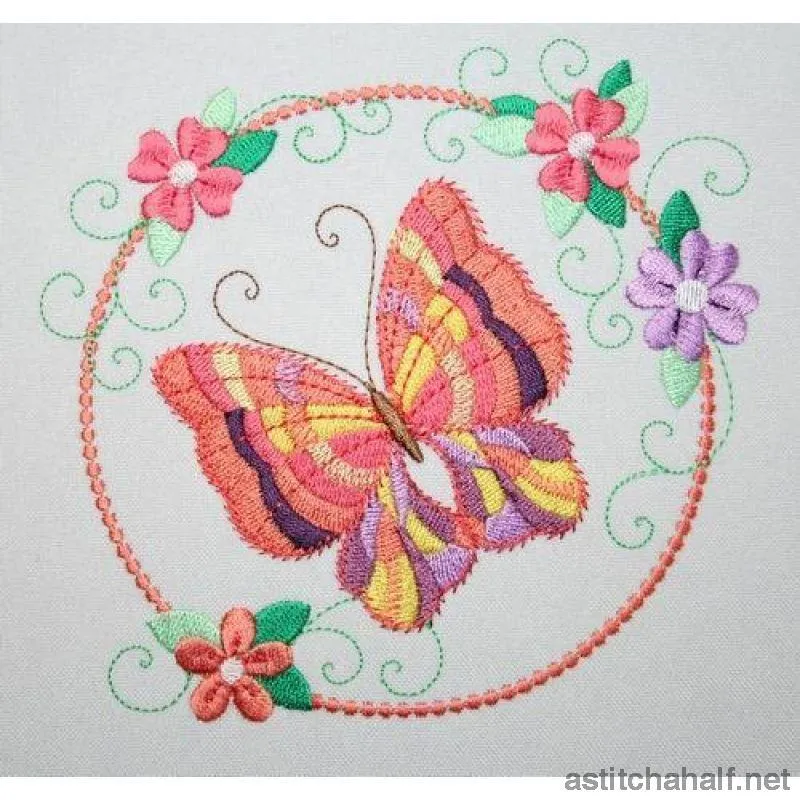 Hula Hoop Butterfly Combo 2